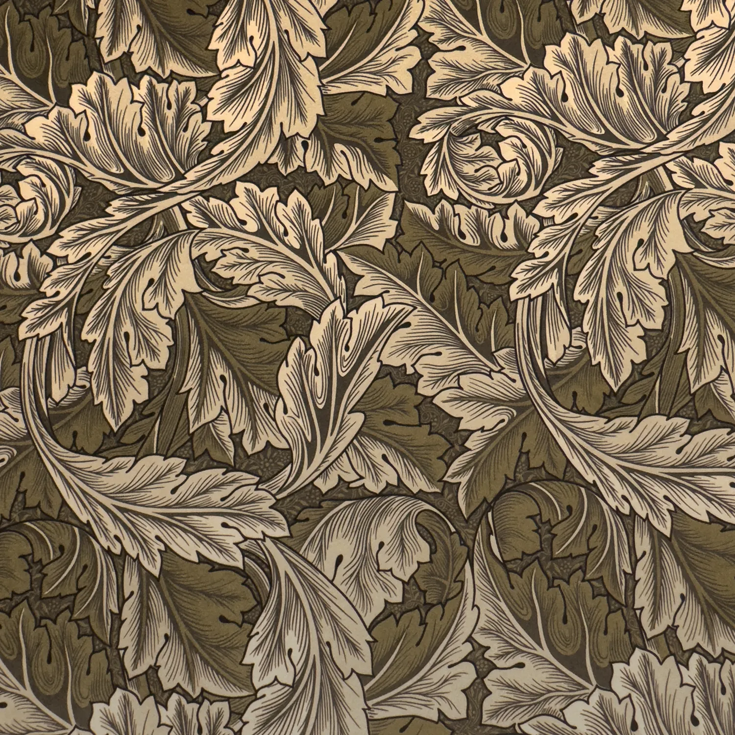 Acanthus Velvet Black