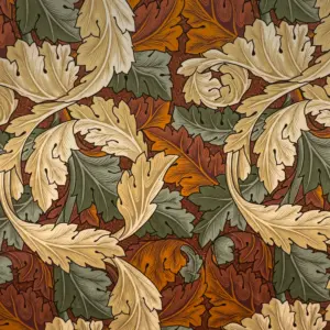 acanthus wine