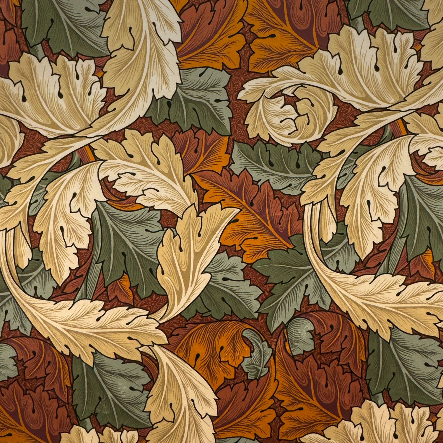 Acanthus Velvet Wine