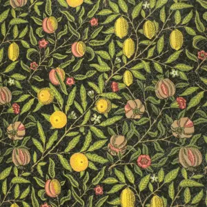 Fruit Velvet Black