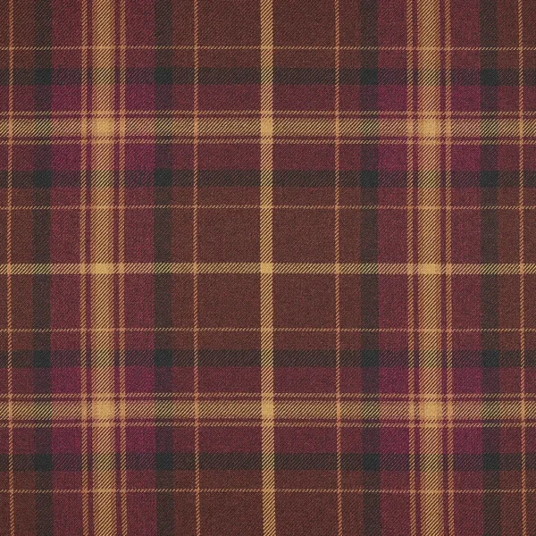 Grampian, Papillon