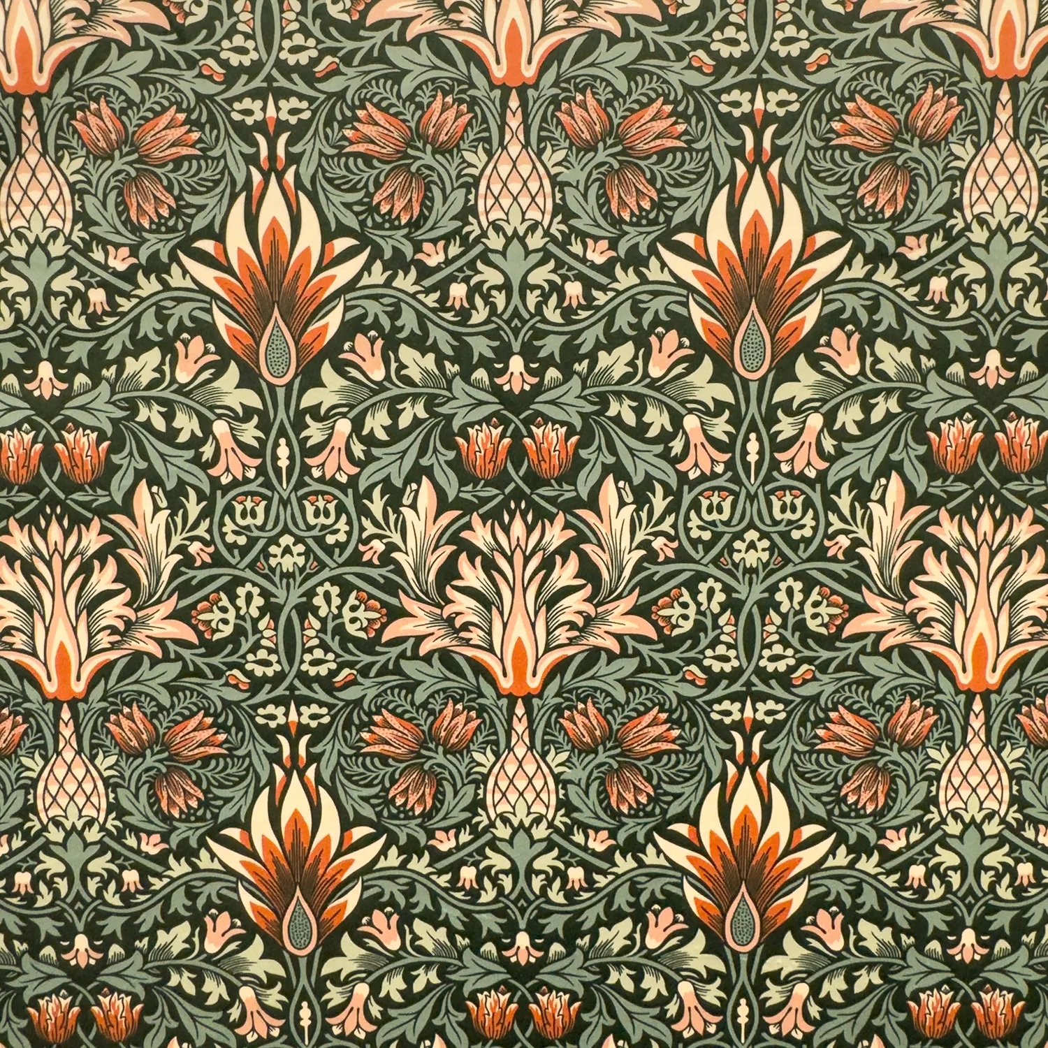 Snakeshead Velvet Ivy